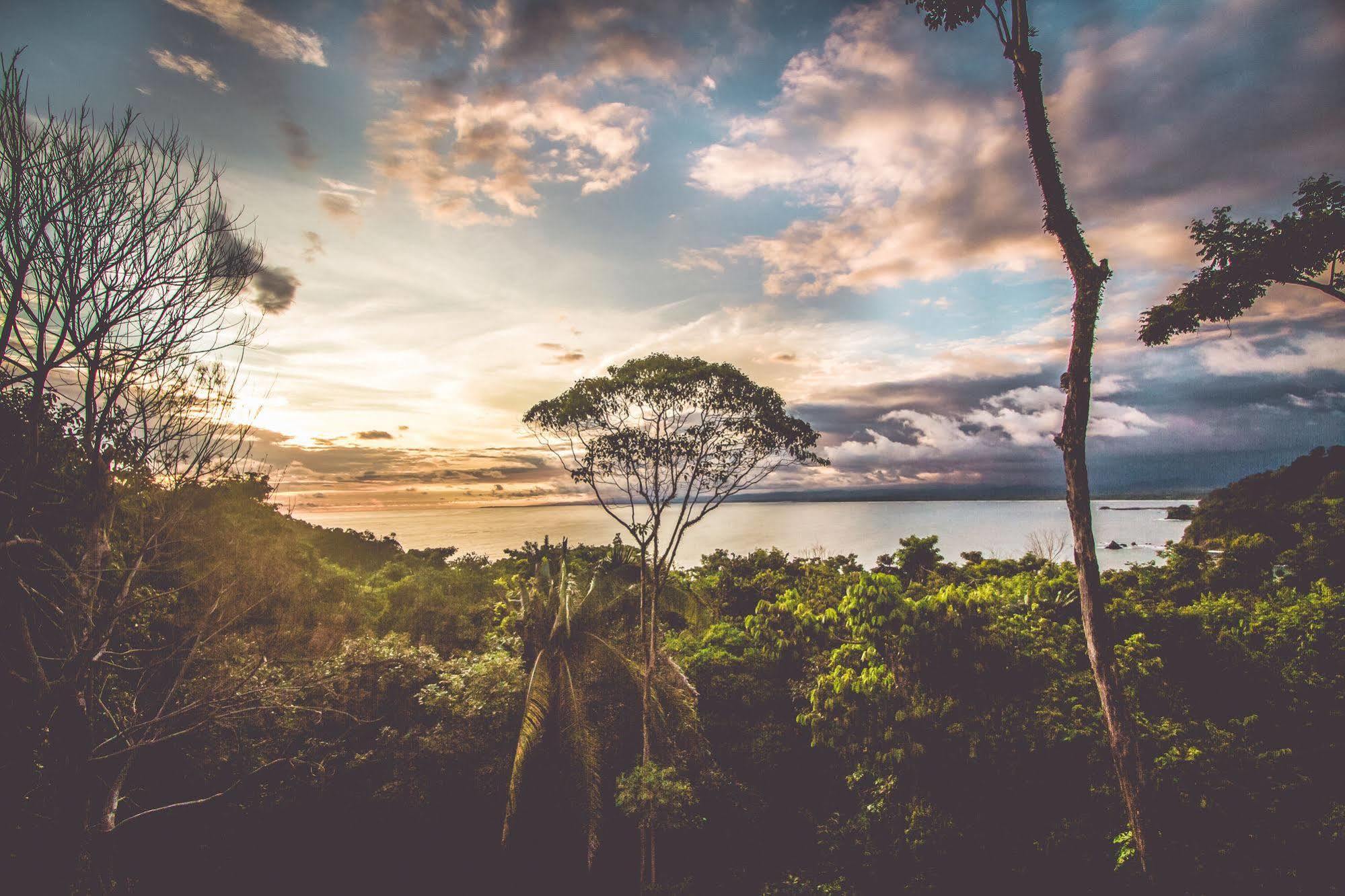 Issimo Suites Boutique Hotel & Spa - Adults Only Manuel Antonio Extérieur photo
